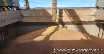 From Albany to Egypt, maiden south coast pulse shipment takes to the sea