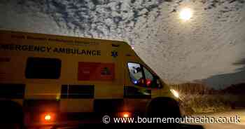 Woman found dead in woods near her home