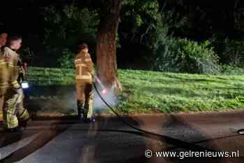 Holle boom vliegt in brand, brandweer komt in actie