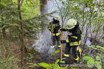 Pilot meldet Waldbrand in Bielefeld