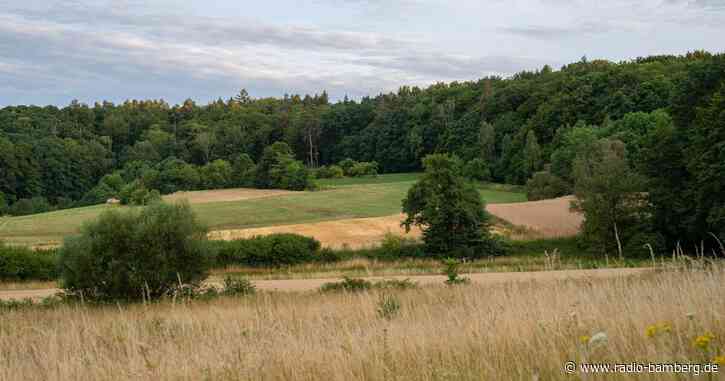 Waldbrandgefahr nimmt im nördlichen Bayern zu