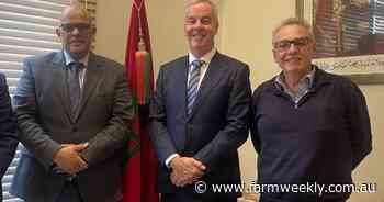 "It is not normal to stop trade" - Morocco ag dept on live sheep export ban