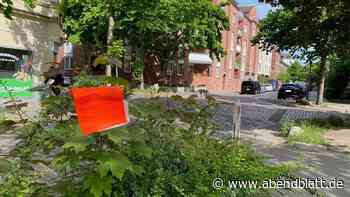 Rattenbefall auf Spielpatz: Hygiene-Institut stellt Köder auf