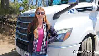 Windsor truckers say new Service Ontario system causing weeks-long delays, costing thousands