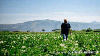 HZPC doorbreekt grens van 1 miljoen ton pootgoed