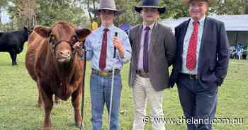 St Gregory's College students claim top gongs at Nowra steer competition