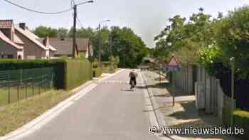 Heel wat bestuurders rijden te snel op omleidingsweg Witbos