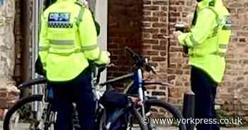 Police and firefighters in York animal rescue drama