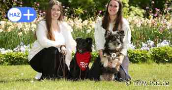 Bark Date in Hannover: Hund sucht Herrchen im Georgengarten