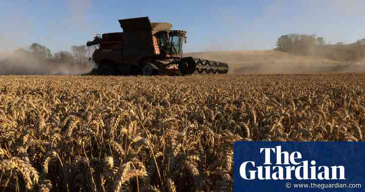 Trade deal with US could spell end of UK’s bioethanol industry, say bosses