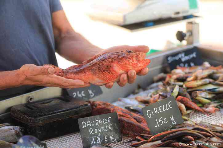 Manifestation des pêcheurs azuréens contre les normes européennes et nationales qui "mettent en danger la pêche artisanale"