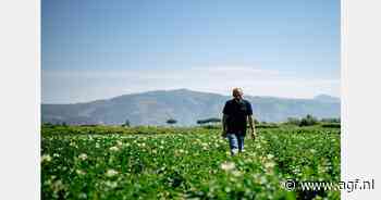 "Met een miljoen ton pootgoed voeden we de wereld"