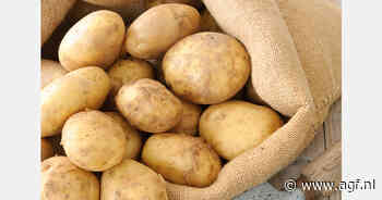 Belangrijke stap in het beheersen van bacteriële pathogenen op aardappelen