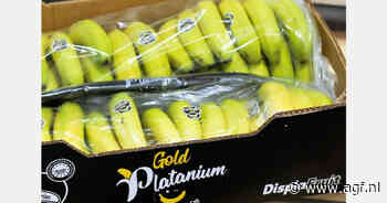 "Geen makkelijke situatie voor Canarische banaan"