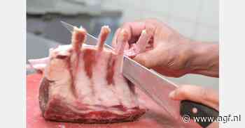 "We doorbreken het verdienmodel van malafide uitzendbureaus"