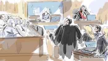 Woman's cross-examination so far in hockey sex assault trial in London, Ont., and what's expected next