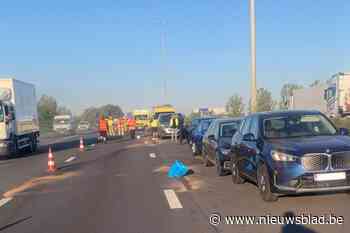 Snelweg wee vrij na ongeval op E17 in Haasdonk