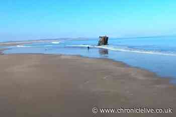 The vast Northumberland beach home to two shipwrecks that's 'perfect' walking destination