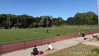 Schleichender Tod für Sportvereine: Weniger Ehrenamtler