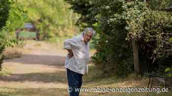 Idol der Linken: Uruguays Ex-Präsident Mujica gestorben