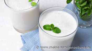 Können Probiotika im Darm unsere Stimmung verbessern? Studie liefert Antwort