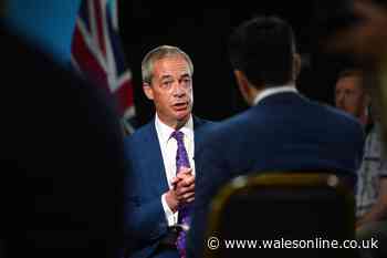 Nigel Farage confirms Senedd election decision