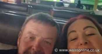 Man hospitalised after being bitten by snake on Welsh beach