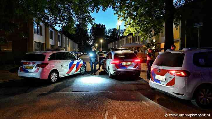Tieners bedreigen jongen met vuurwapen en beroven hem van zijn fatbike