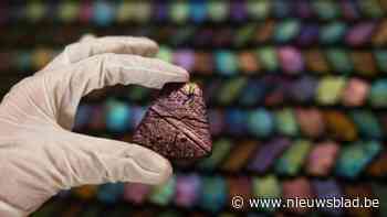 Kunst maken zonder vervuilende kleurstoffen: deze expo in Hasseltse Z33 bewijst dat het kan