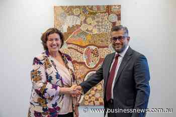 Small business commissioner appointed