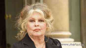 Trotz Abschied vom Rampenlicht: Film-Ikone Brigitte Bardot meldet sich zurück