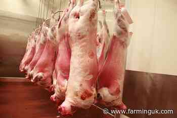 Government urged to act as MP warns of small abattoir crisis