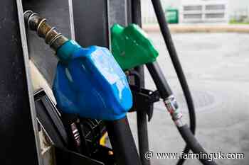 UK bioethanol facing 'collapse' after US trade deal, producers warn