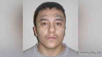 Violent sex offender expected to live in Winnipeg a high risk to reoffend: police