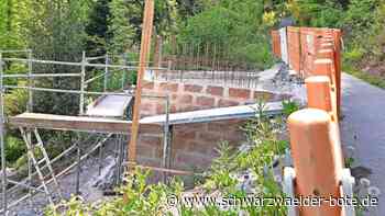 Stadtgarten in Calw: Darum scheint der Bau der riesigen Rutschen stillzustehen