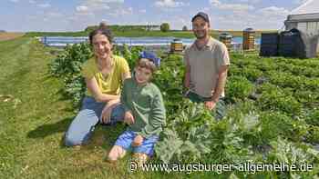 Gemüseanbau in Kaufering: „Wir sind drei Tage frischer als Supermärkte“