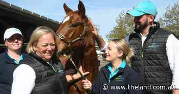 Record set at Inglis' The Chairman's Sale as mares make millions | Tails