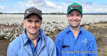 Finalists named in Australian cotton grower and high achiever of the year