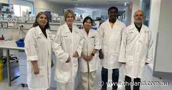 Legume variety that controls disease and thrives in acidic soils on the way