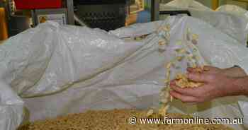 Almond market goes nuts as US trade war makes Australian exports a winner