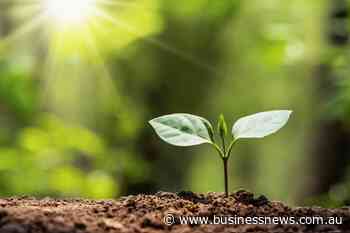 Opinion: Survival of the carbon fittest