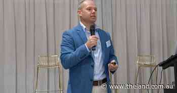 New tool a 'gamechanger' for accelerating genetic progress in Herefords