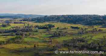 Monaro's productive Whinstone Valley offered with big body of fresh feed