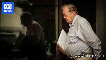 Chinese investors controlled collapsed mining company's finances, court hears