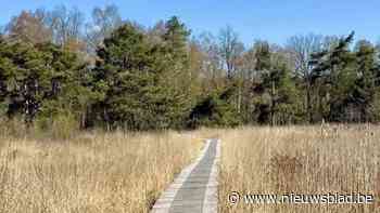 Brandfase rood in Landschap De Liereman: “Beheerders en brandweer zijn waakzaam”