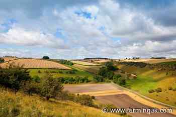 Experts warn government land use plans could threaten food security