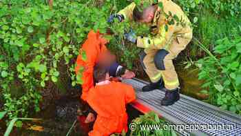 Man valt met rollator in de sloot, brandweer schiet te hulp