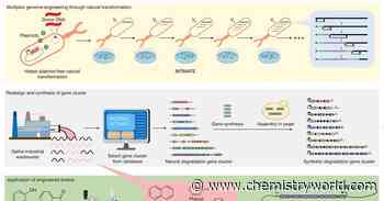 Engineered microbe could clean up persistent oil pollution hotspots