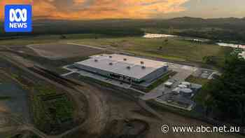 Fortescue cuts 90 green hydrogen jobs