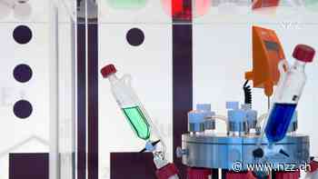 Neue Studie: Die EU-Strafaktion gegen die Schweiz bei der Forschung hat vielen Firmen und Hochschulen weh getan